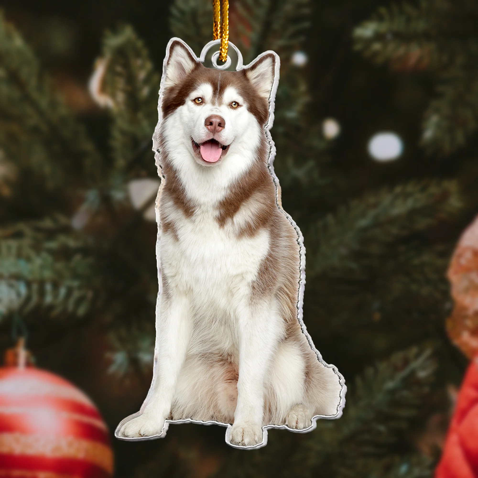 Christmas Husky Ornament Siberian Husky Gifted - Personalized Acrylic Photo Ornament - Image 2