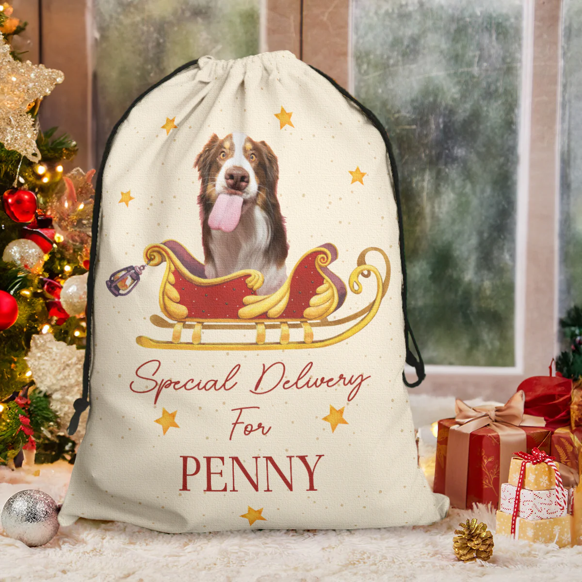 Christmas Special Delivery For Pet - Personalized Photo Christmas Sack - Image 2