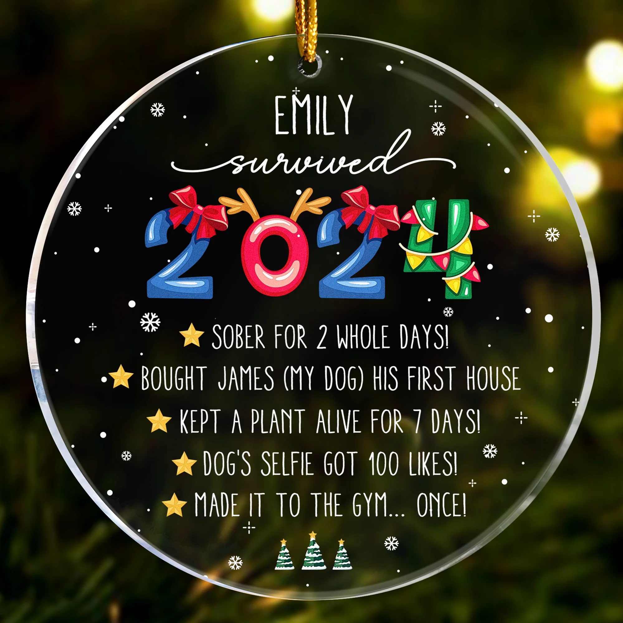I Survived 2024 - Funny Year In Review - Personalized Acrylic Ornament - Image 2