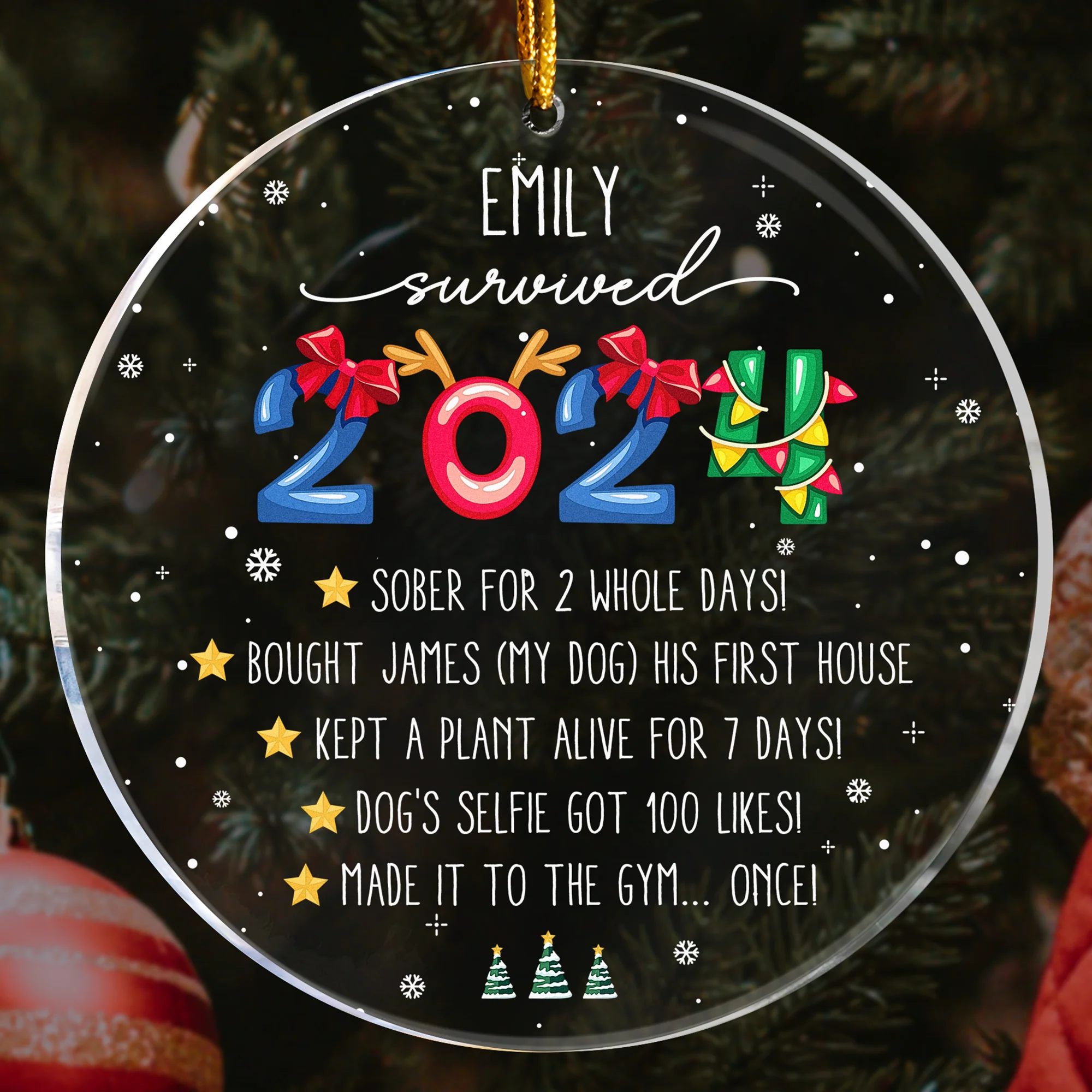I Survived 2024 - Funny Year In Review - Personalized Acrylic Ornament - Image 3