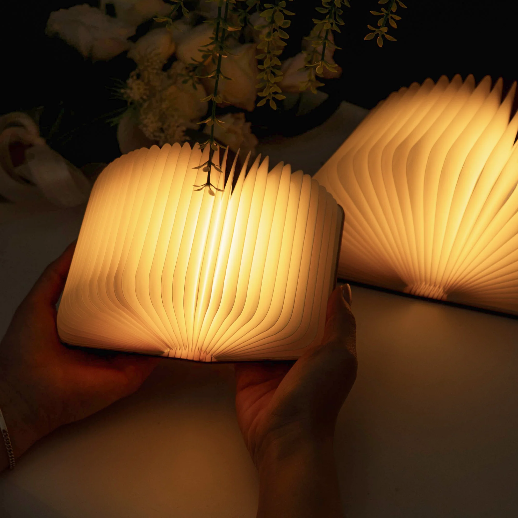 Jane Austen Old Book Cover - Personalized Book Lamp - Image 8