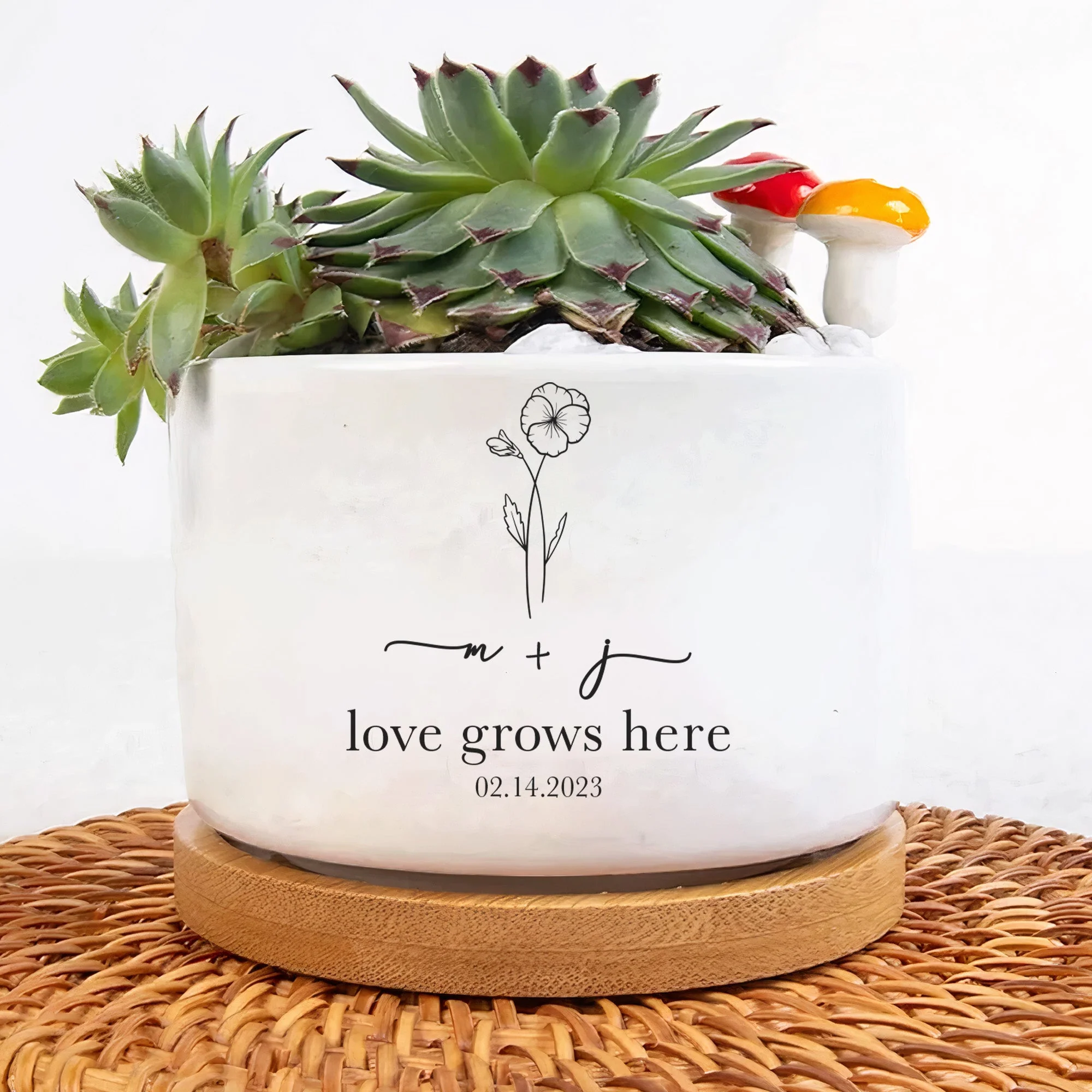 Love Grows Here Engagement Gift - Personalized Ceramic Plant Pot With Tray - Image 3