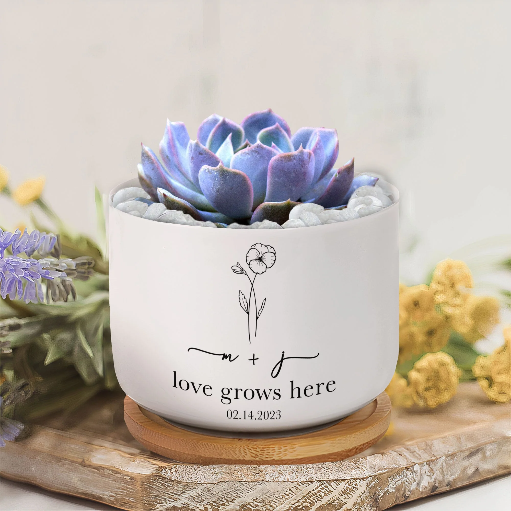Love Grows Here Engagement Gift - Personalized Ceramic Plant Pot With Tray - Image 4