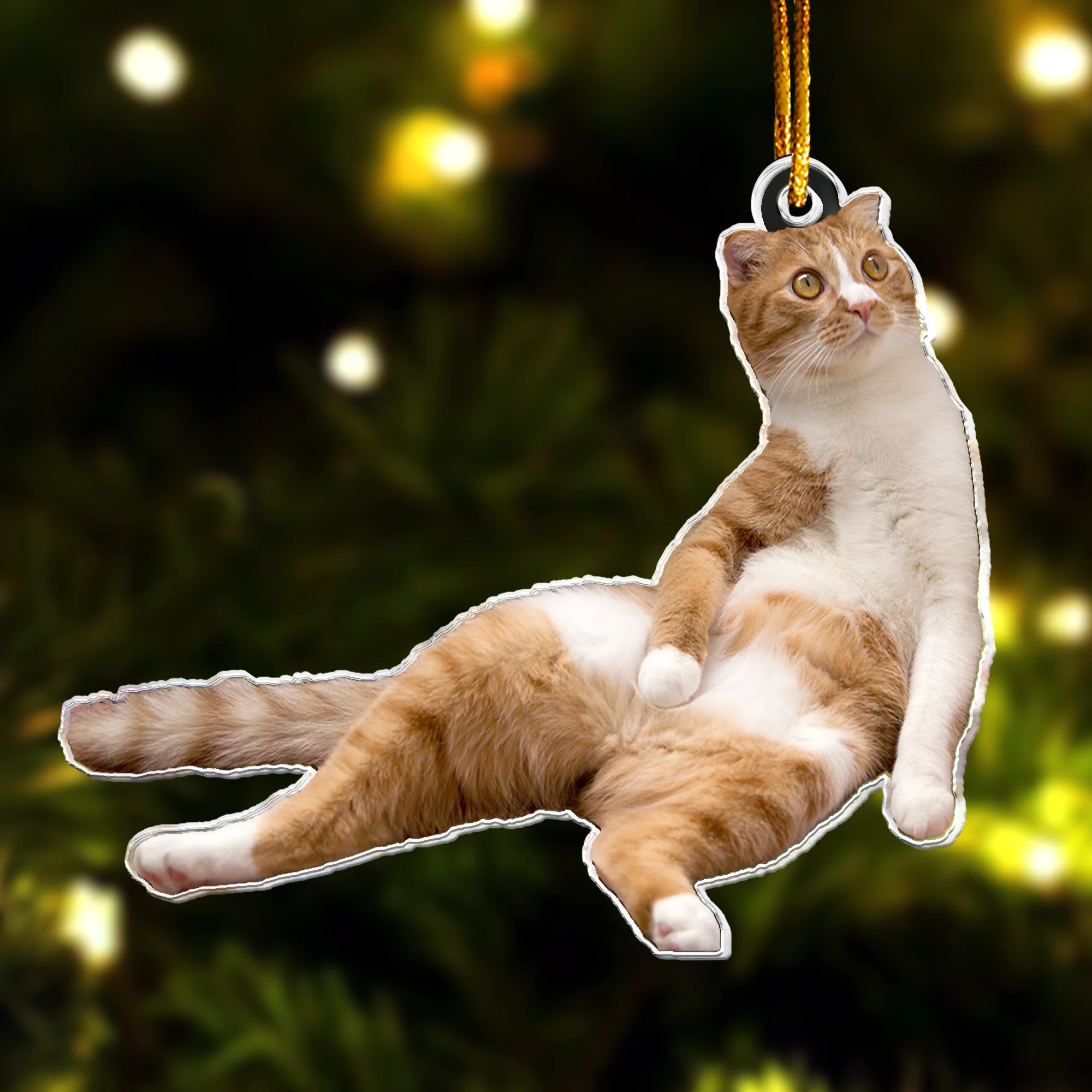 Orange Cat Ornament - Cute Orange Cat - Personalized Acrylic Photo Ornament - Image 2
