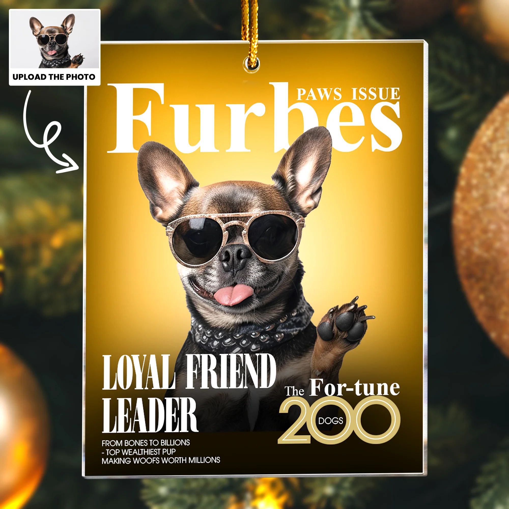 Pet Furbes Magazine - Custom Pet Portrait - Gifts For Dog Lovers, Cat Lovers - Personalized Acrylic Photo Ornament - Image 2