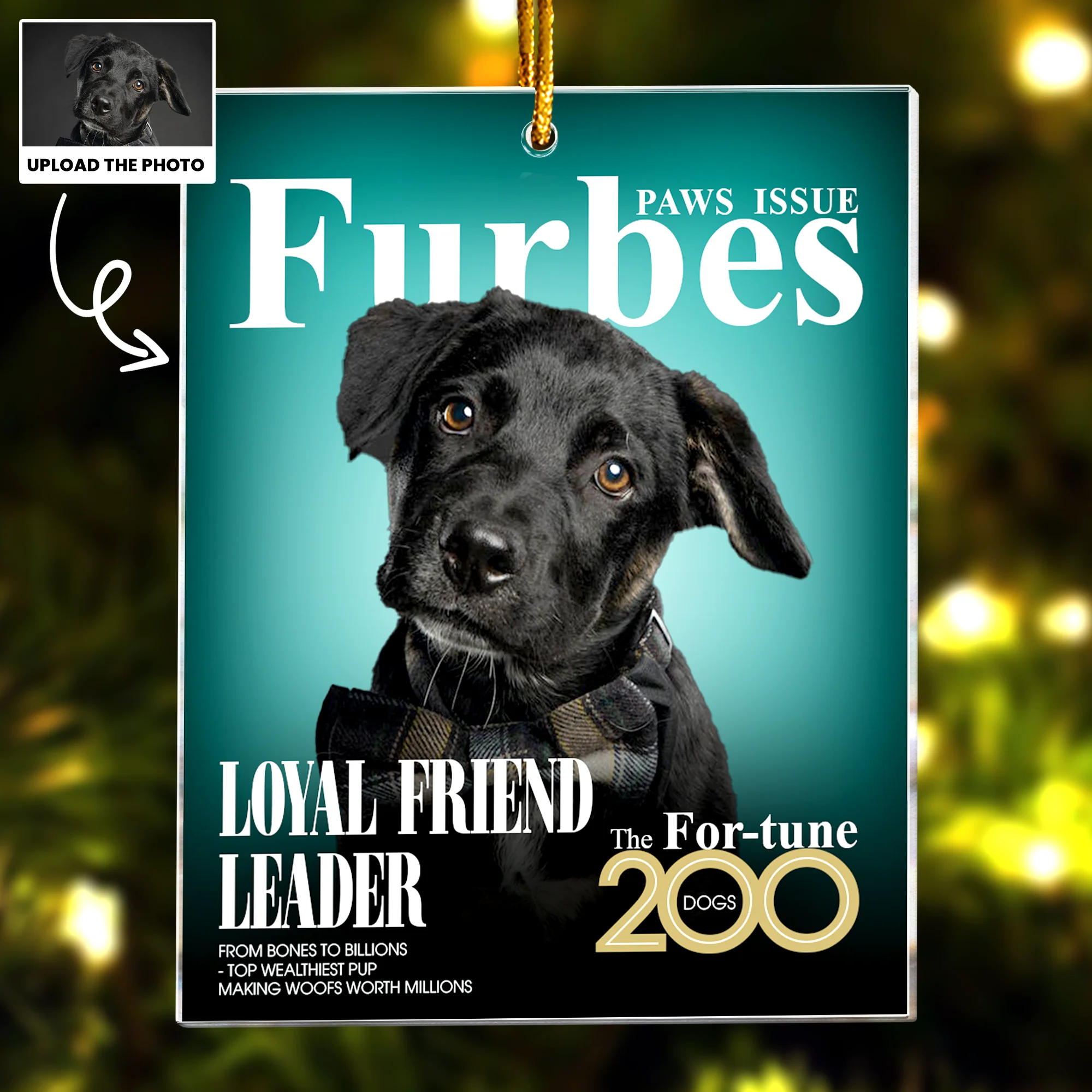 Pet Furbes Magazine - Custom Pet Portrait - Gifts For Dog Lovers, Cat Lovers - Personalized Acrylic Photo Ornament - Image 4