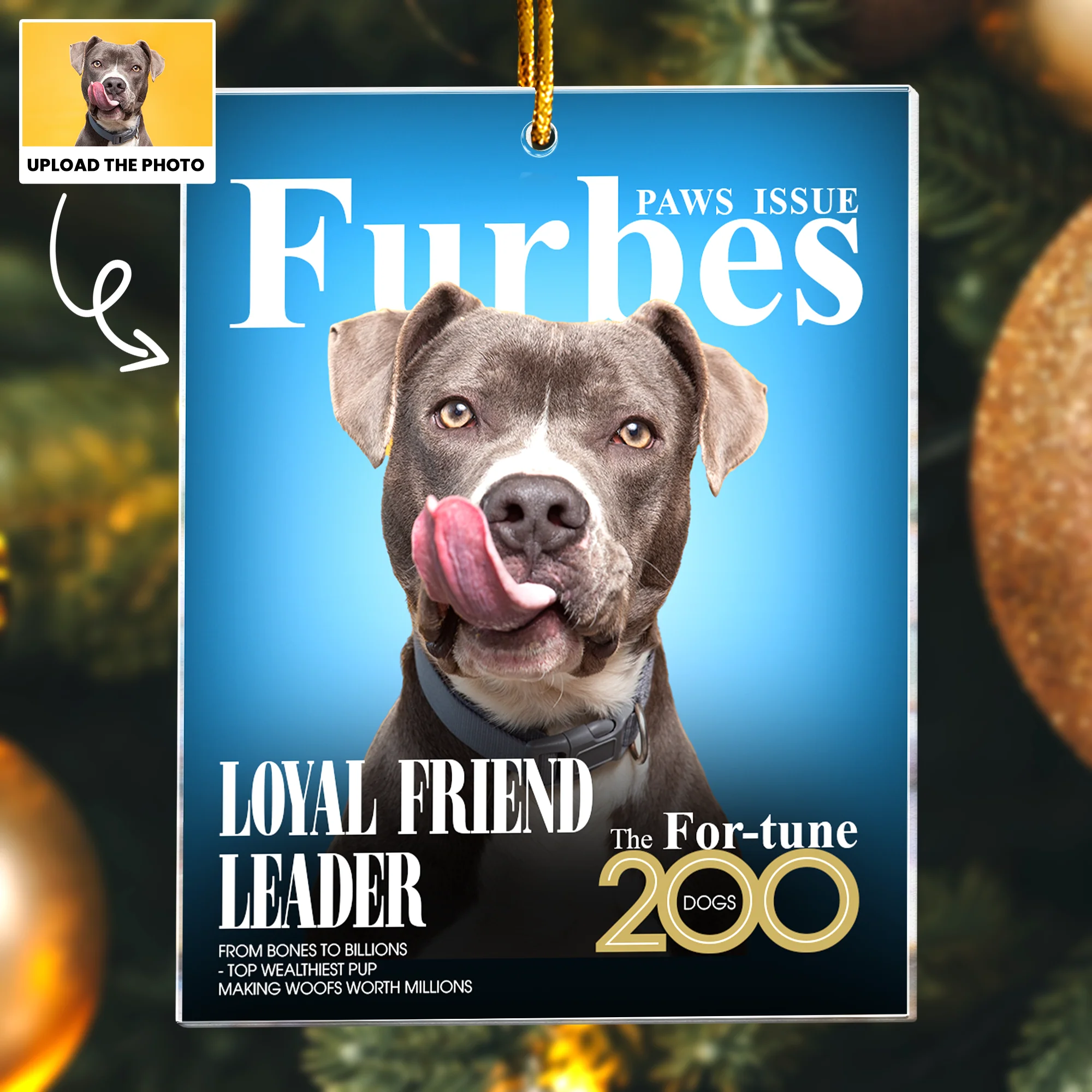 Pet Furbes Magazine - Custom Pet Portrait - Gifts For Dog Lovers, Cat Lovers - Personalized Acrylic Photo Ornament - Image 5