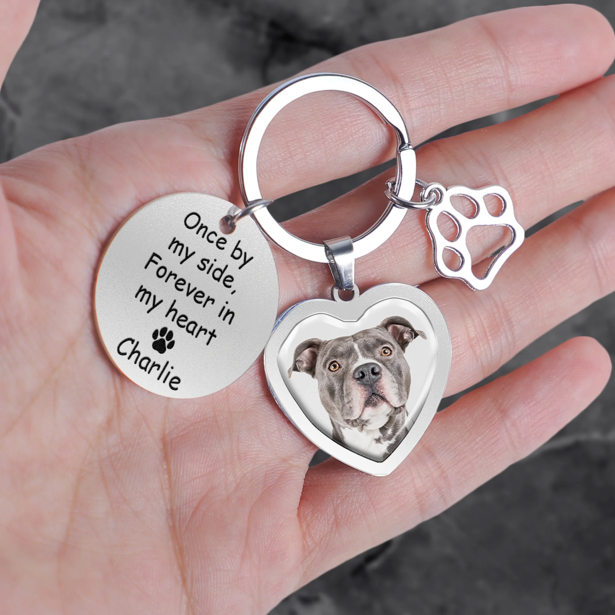 Pet Once By My Side Forever In My Heart - Personalized Photo Keychain - Image 2