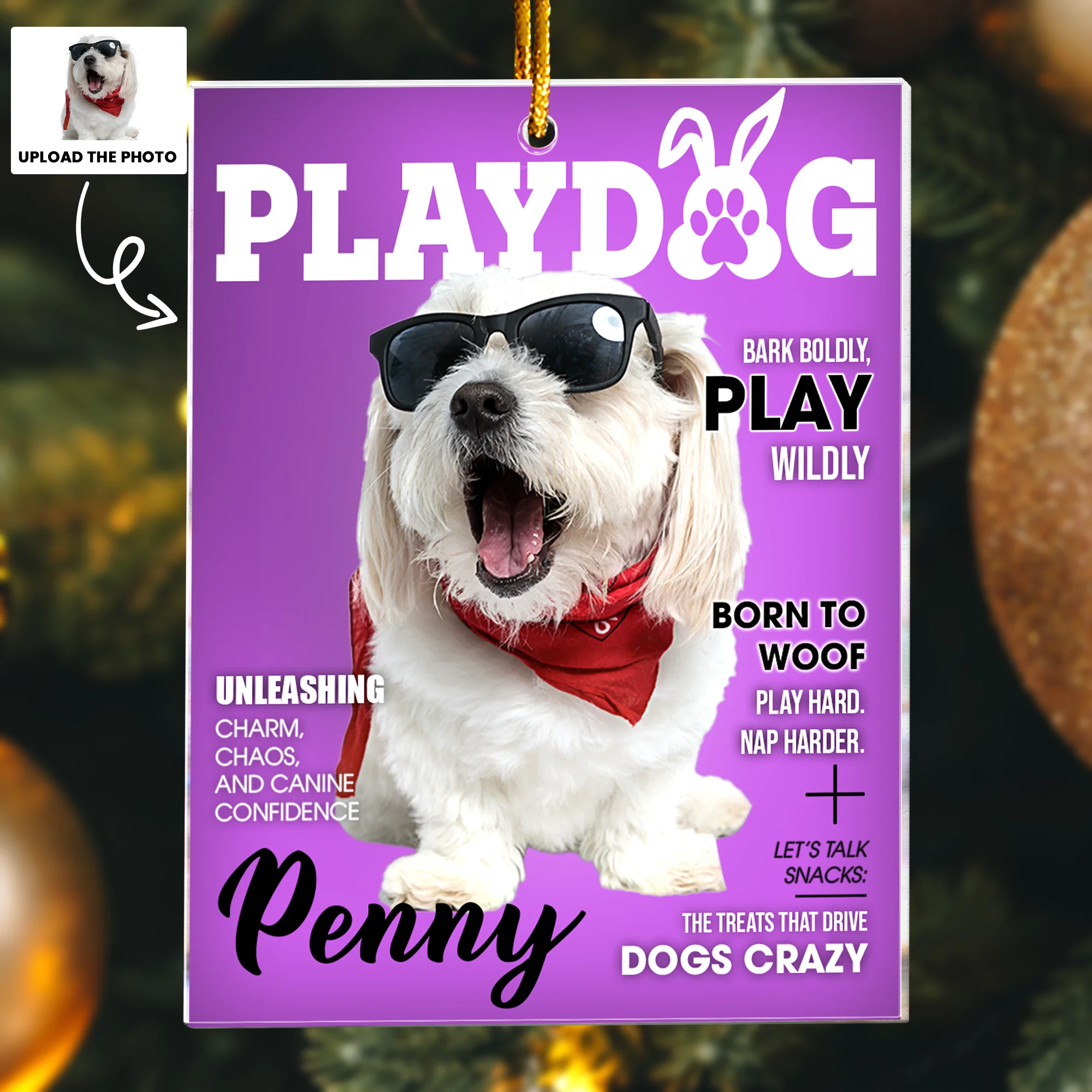 Pet Playdog Playcat Magazine - Custom Pet Portrait - Gifts For Dog Lovers, Cat Lovers - Personalized Acrylic Photo Ornament - Image 4