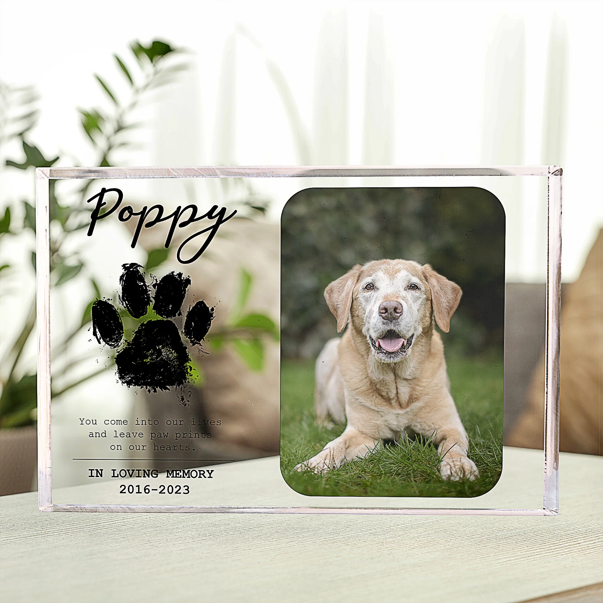 You Leave Paw Prints On Our Hearts - Personalized Photo Rectangle Acrylic Plaque - Image 3