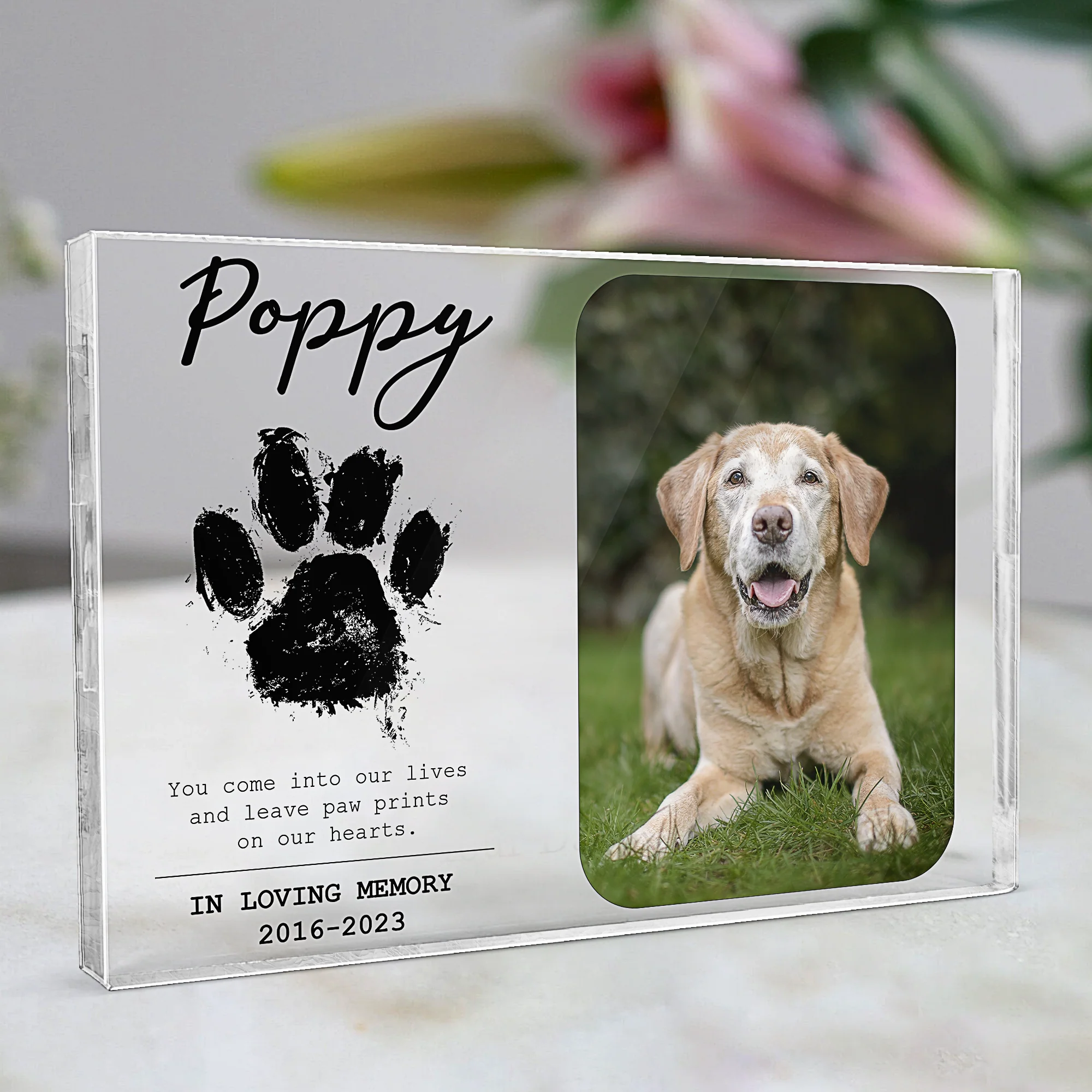 You Leave Paw Prints On Our Hearts - Personalized Photo Rectangle Acrylic Plaque - Image 4