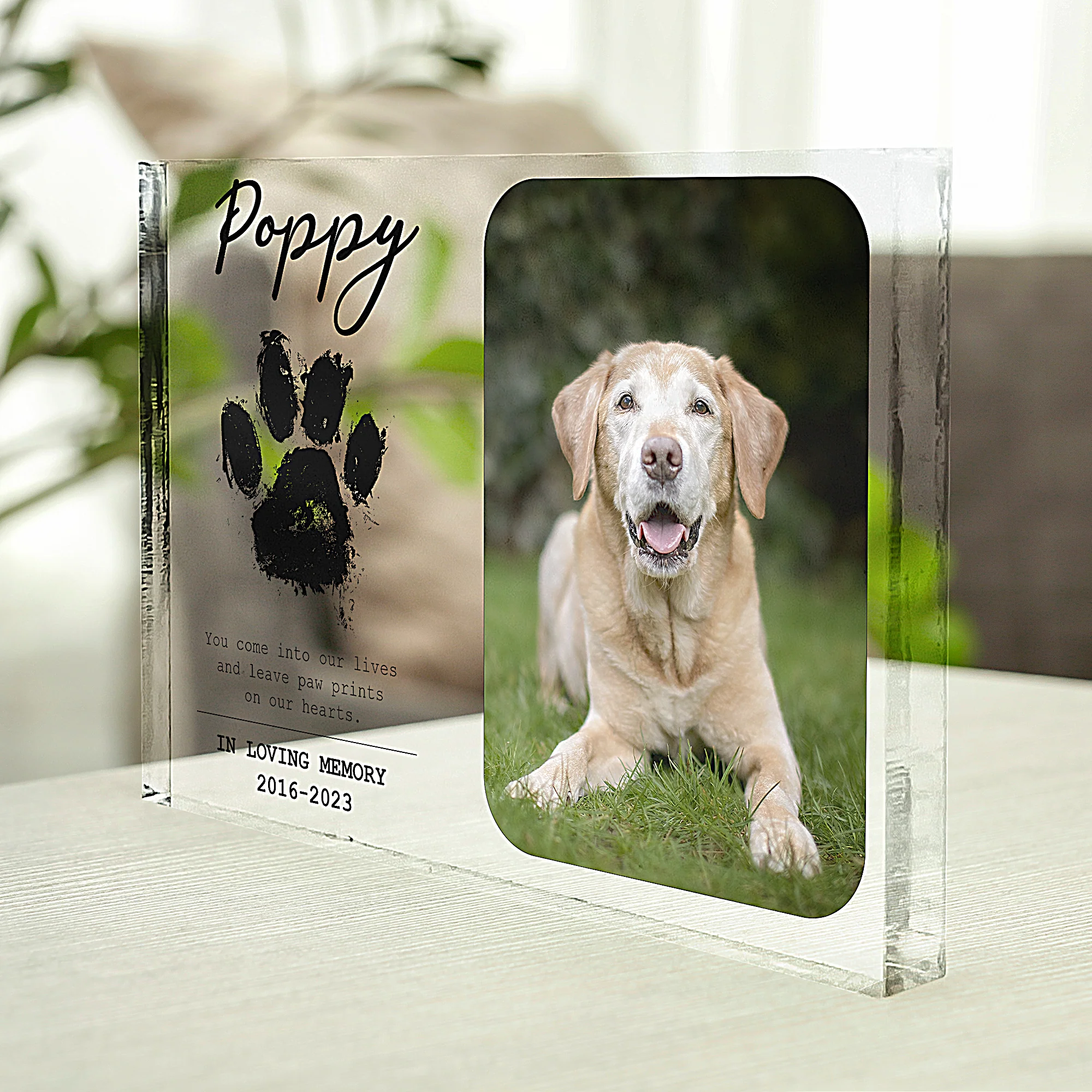 You Leave Paw Prints On Our Hearts - Personalized Photo Rectangle Acrylic Plaque - Image 5