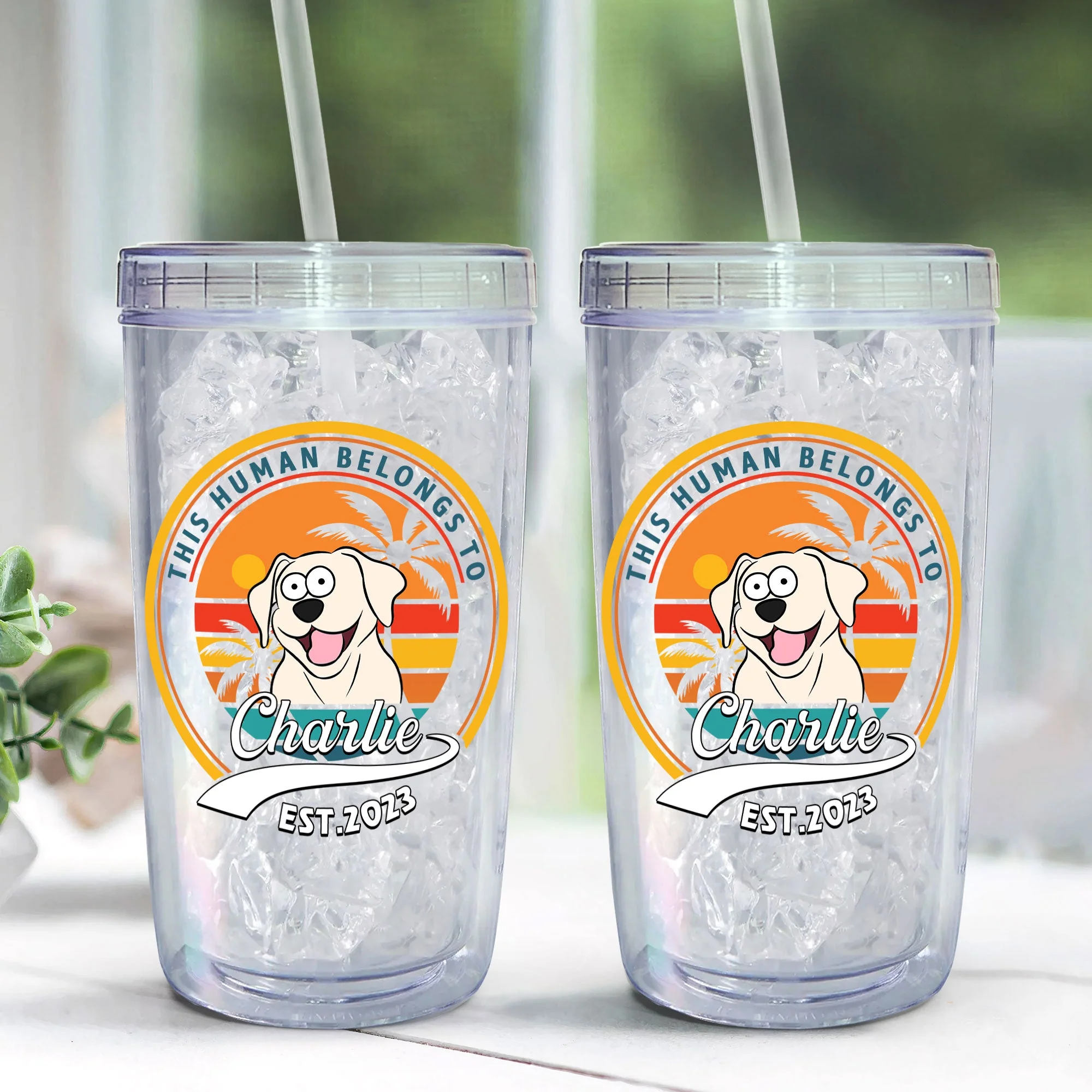 This Human Belongs To Dog - Personalized Acrylic Tumbler With Straw - Image 3