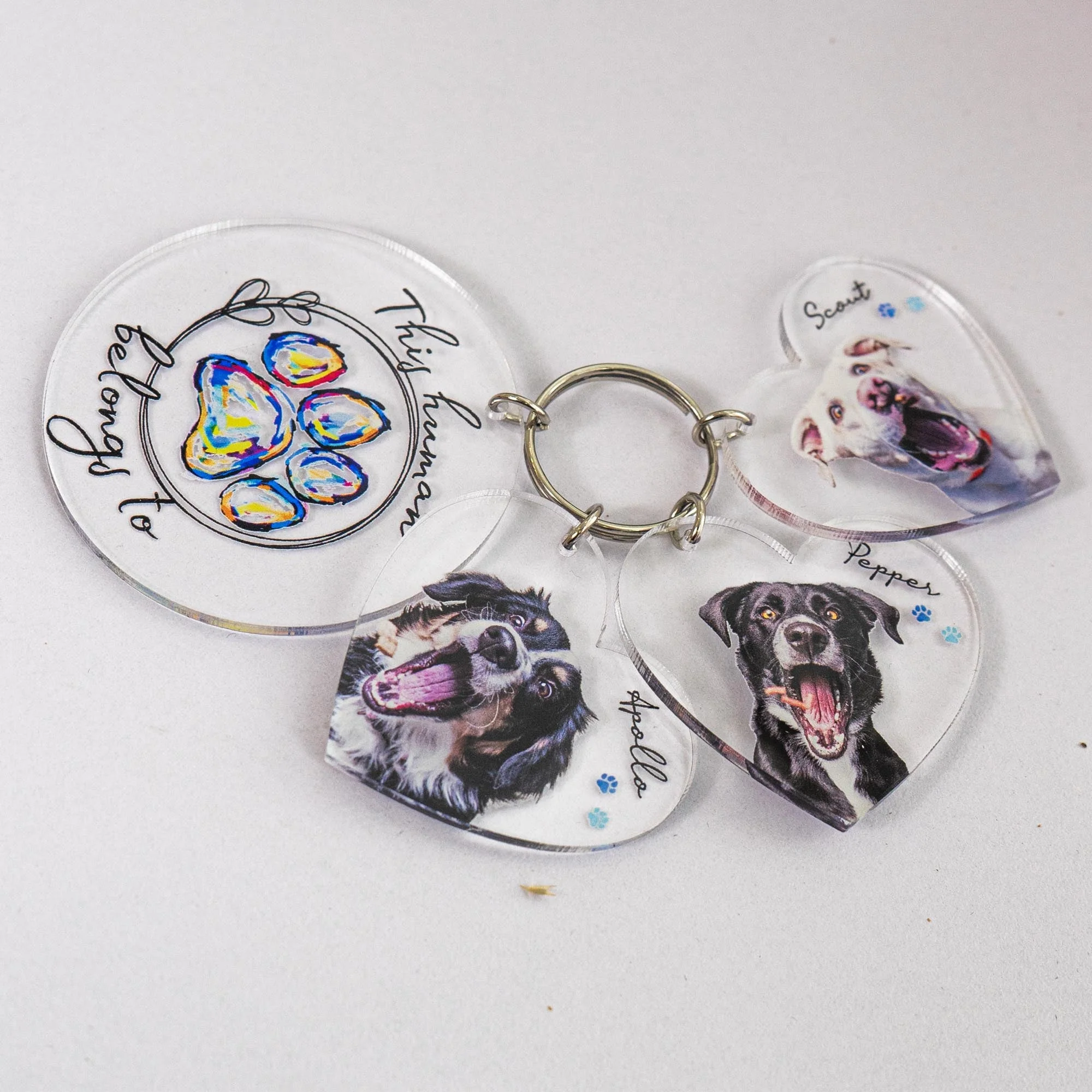 This Human Belongs To - Personalized Acrylic Photo Keychain - Image 4