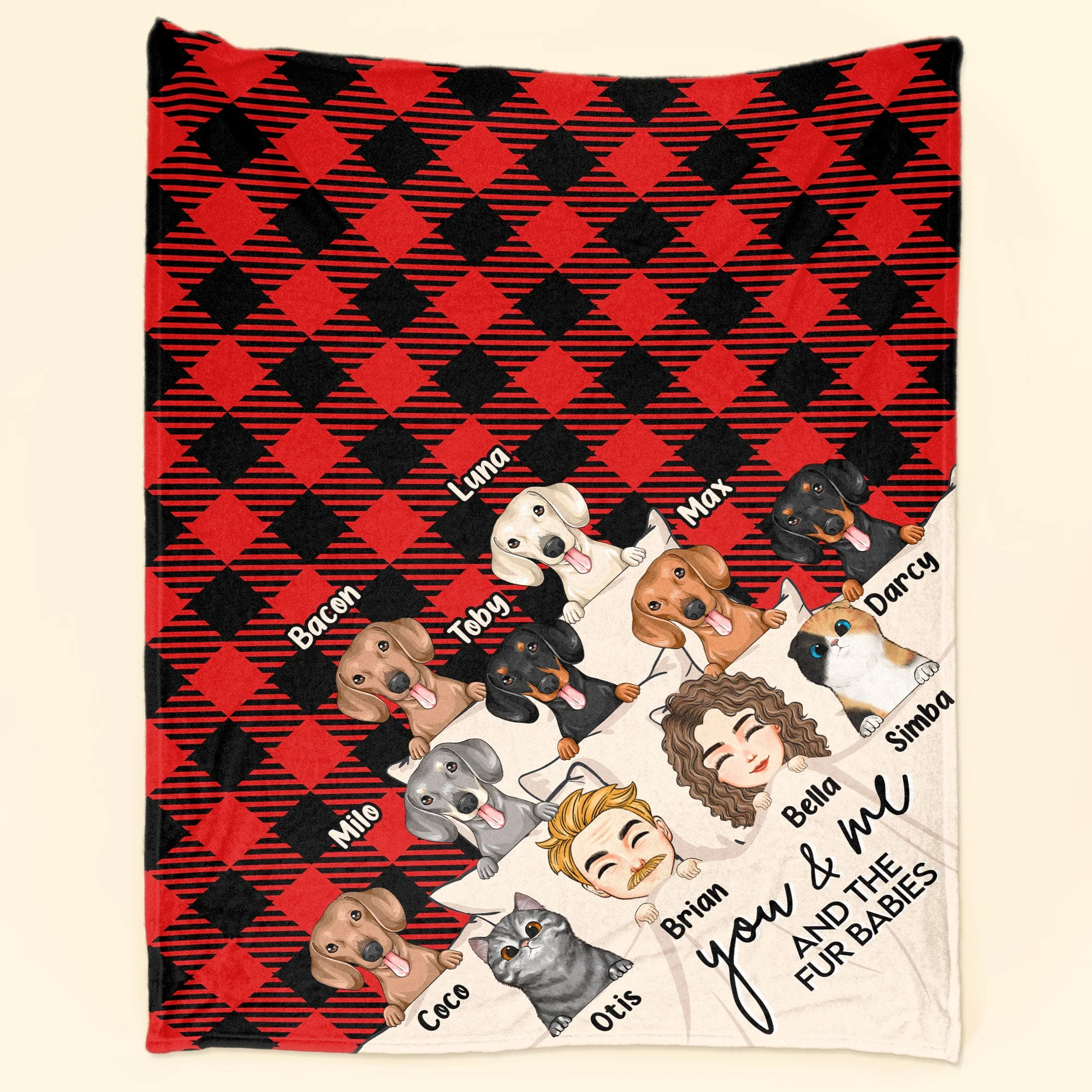 You & Me And The Dogs The Cats V2 - Personalized Blanket